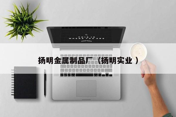 揚明金屬制品廠（揚明實業 ）